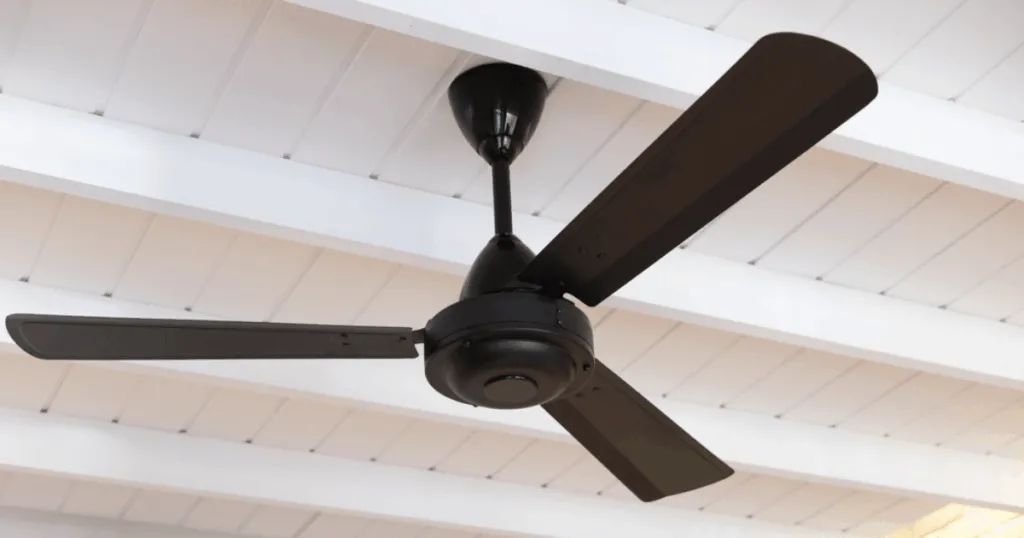 History & Evolution of the Ceiling Fan